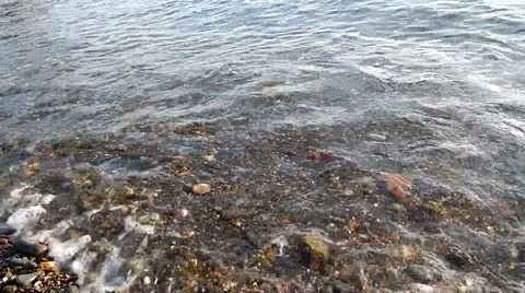 Sea surf Stock Footage 46874783
