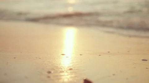 Sea surf on a sandy beach Stock Footage 159718682