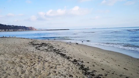 Sea surf. Seashore. Spring. Black Sea. Stock Footage 106837119
