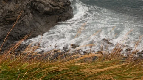 Sea surf with a view through the grass Video stock 119607687