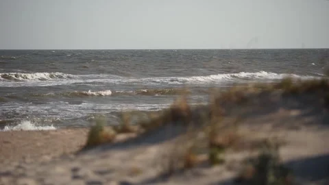Sea surf, water waves breaking on the sandy shore, plants. Splashing sea water Stock Footage 252689095