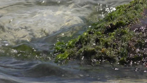 Sea surface and rocks in sunlight Stock Footage 126009134