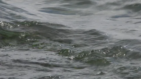 Sea surface and rocks in sunlight Stock Footage 126009269
