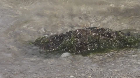 Sea surface and rocks in sunlight Stock Footage 126315157