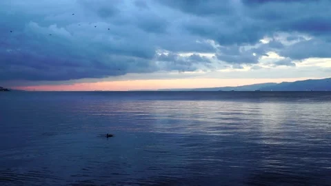 Sea surface. Calm tranquil sea footage. Reflections on the sea surface Stock Footage 223578397