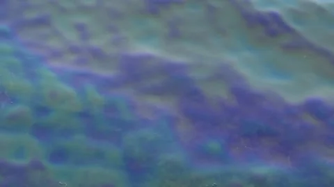 Sea surface is contaminated Vídeos de archivo 346101511