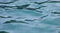 Sea surface HD Footage