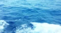 Sea surface HD Footage