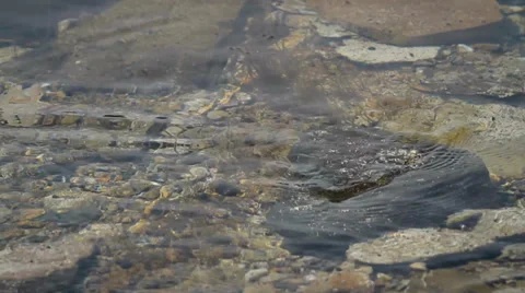 Sea surface Stock Footage 37841134