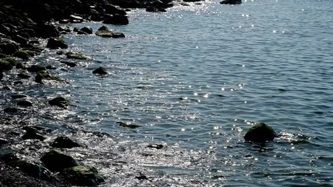 Sea surface Video stock 140627437