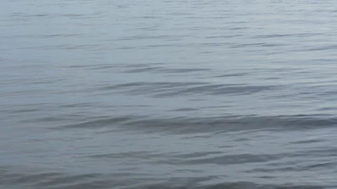 Sea surface Stock Footage 143562290