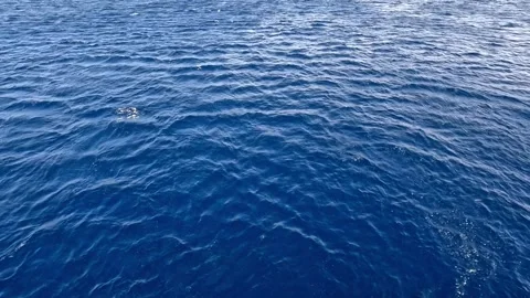Sea surface. Stock Footage 277854340