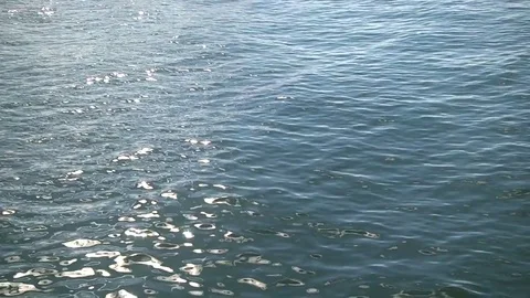 Sea surface. the glare of the sun Video stock 85093776