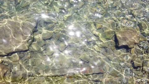 Sea Surface With Glittering Lights Top View Stock Footage 234911384