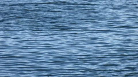 Sea surface in a harbor Video stock 342624015