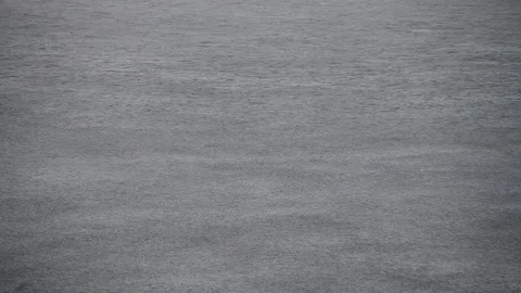 Sea surface moved by wind and rain Stock Footage 83542243