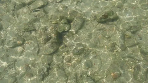 Sea surface movement Stock Footage 89595175