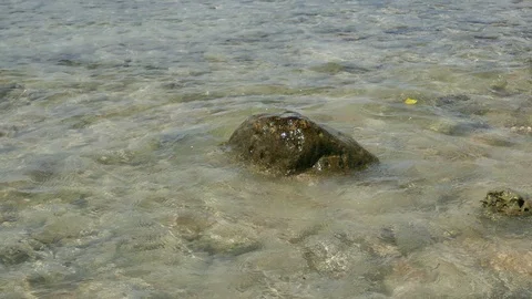 Sea surface movement Stock Footage 89595929