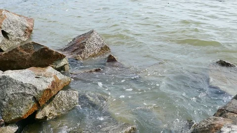 Sea surface movement Stock Footage 89611982