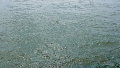 Sea surface movement Stock Footage 89620741