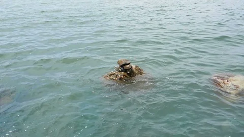 Sea surface movement Stock Footage 89655676