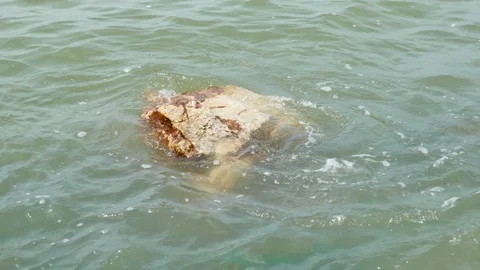 Sea surface movement Stock Footage 89656310