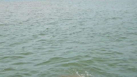 Sea surface movement Stock Footage 89656801