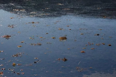 Sea surface Stock Photos