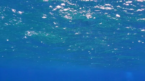Sea Surface Rain Drops Underwater View Stock Footage 124042743