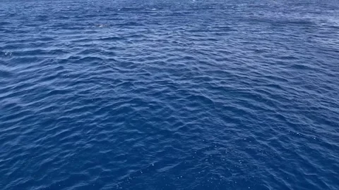 Sea surface. Red sea. Stock Footage 277854322