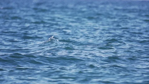 Sea surface in slow motion. 스톡 동영상 120404045