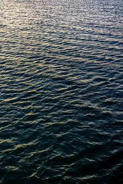 Sea surface with small ripples in evening light. Golden reflections shine o.. Stock Photos