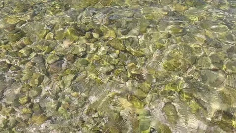 Sea surface with small waves Vídeos de archivo 317405028