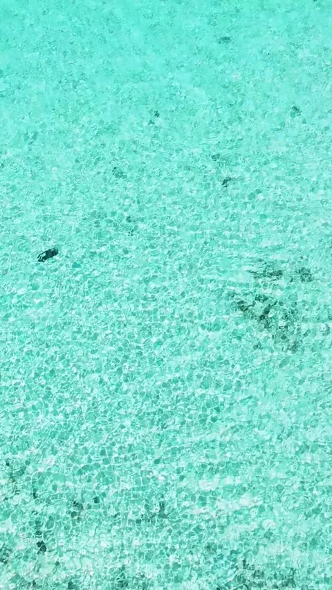 Sea surface with turquoise water. Video stock 342510892