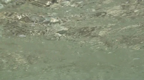 Sea surface underwater Stock Footage 31336336