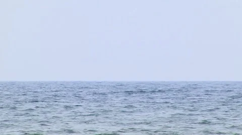 Sea Surfers Stockbeeldmateriaal 7737715