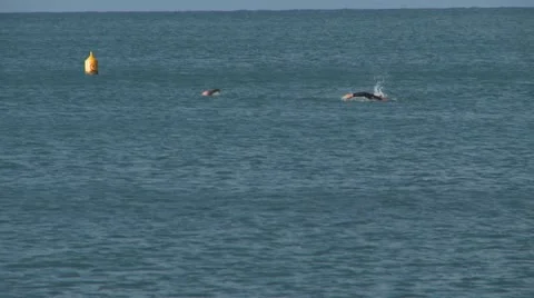 Sea swimmers Video stock 22364060