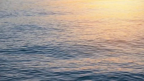 Sea texture in a sunset Stock Footage 78557044