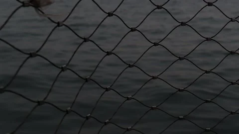 Sea Through Fence Stock Footage 171835152