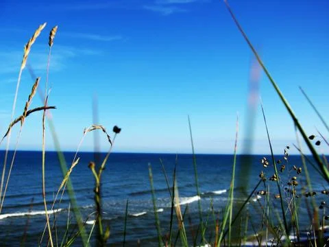 Sea Through Grass Stock Photos