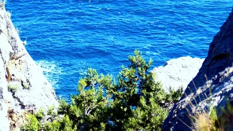 Sea through the rocks Stock Footage 131880826