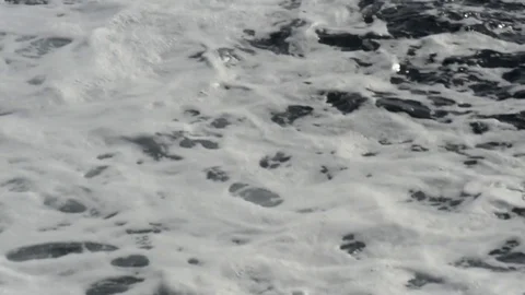 Sea trip 2 Stock Footage 86178545