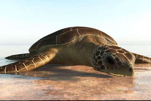 Sea turtle on the beach 3d rendering Stock Illustration