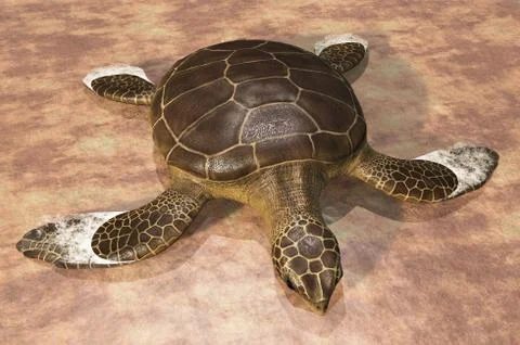 Sea turtle on the beach 3d rendering Stock Illustration