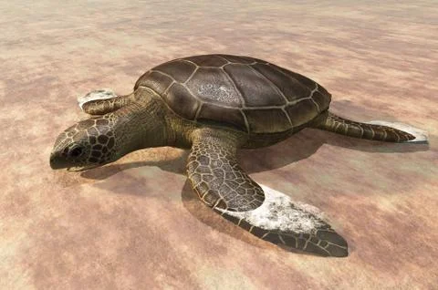 Sea turtle on the beach 3d rendering Stock Illustration
