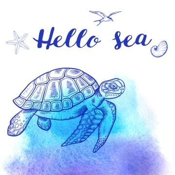 Sea turtle on a blue background Stock Illustration