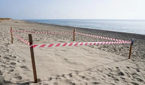 Sea turtle egg laying site. 스톡 사진