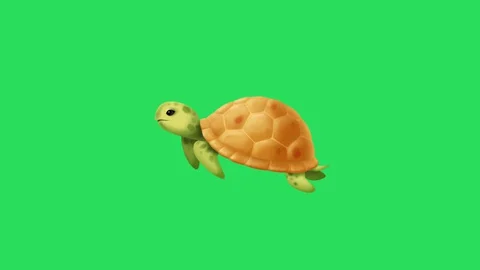 Sea turtle Stock Footage 128626206