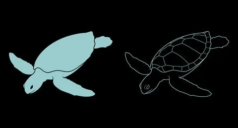 Sea turtle icon design featuring solid and outline styles Stockillustratie