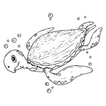 Sea turtle icon. Vector illustration of a cute sea turtle. Hand drawn cartoon 스톡 일러스트